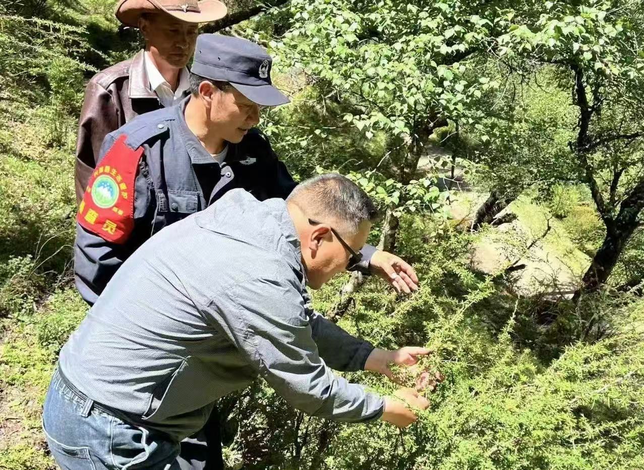 兴海县四措并举推动国土绿化工作见实效