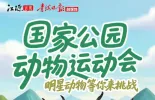 江源近观 | 【H5】国家公园运动会 明星动物等你来挑战