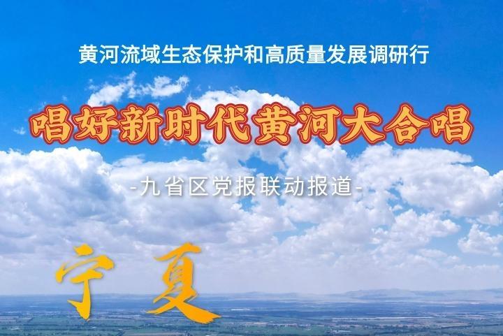 海报丨宁夏：逐浪黄河乘势起
