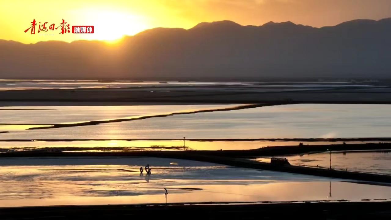 【秋日青海】暮色漫茶卡，天空壹号漾金波，赤麻鸭掠水嬉戏，翅尖抖落满湖温柔，一切变得安静起来......#秋日青海