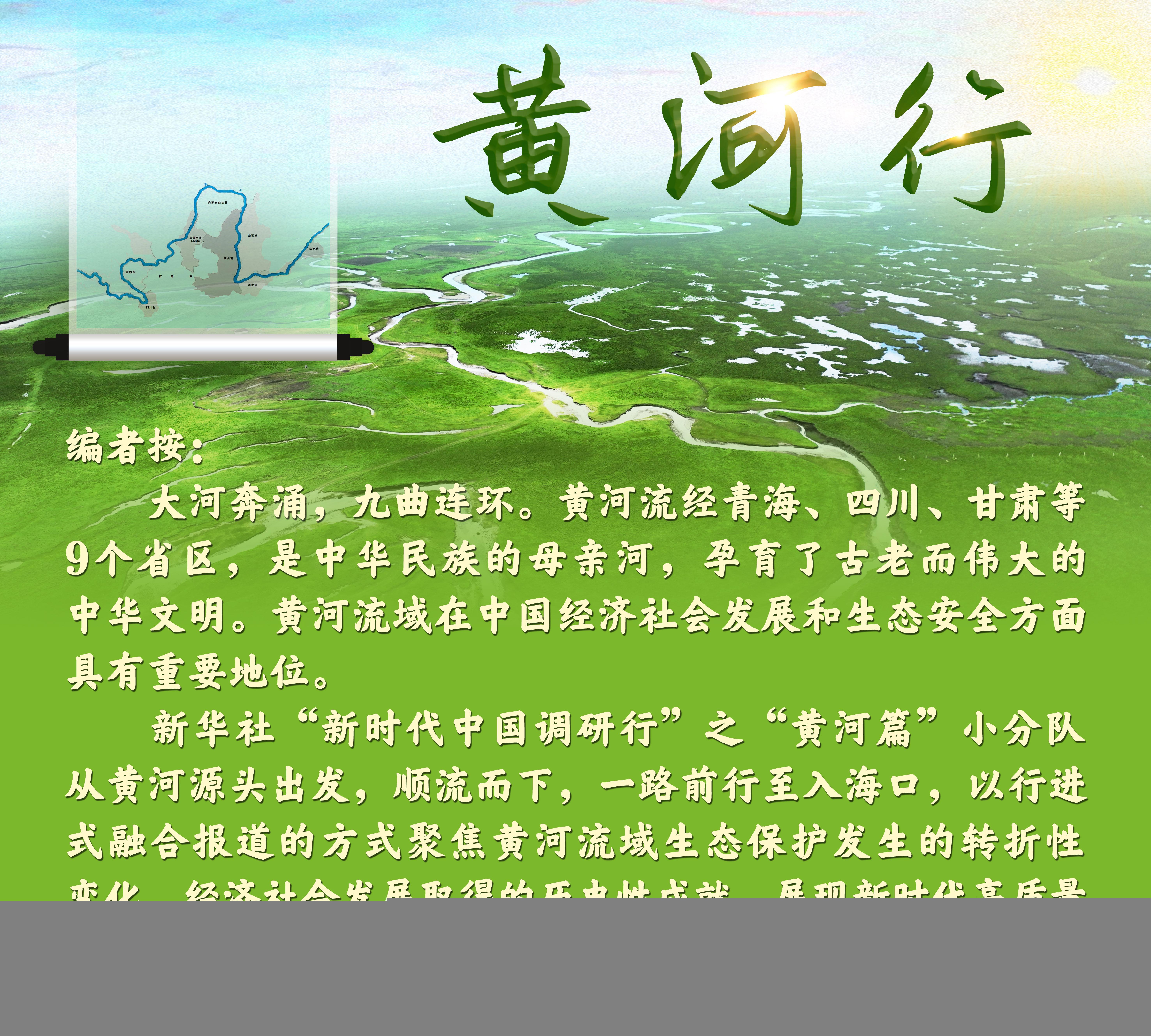 新时代中国调研行·黄河篇|河曲草原上的黄河牧歌