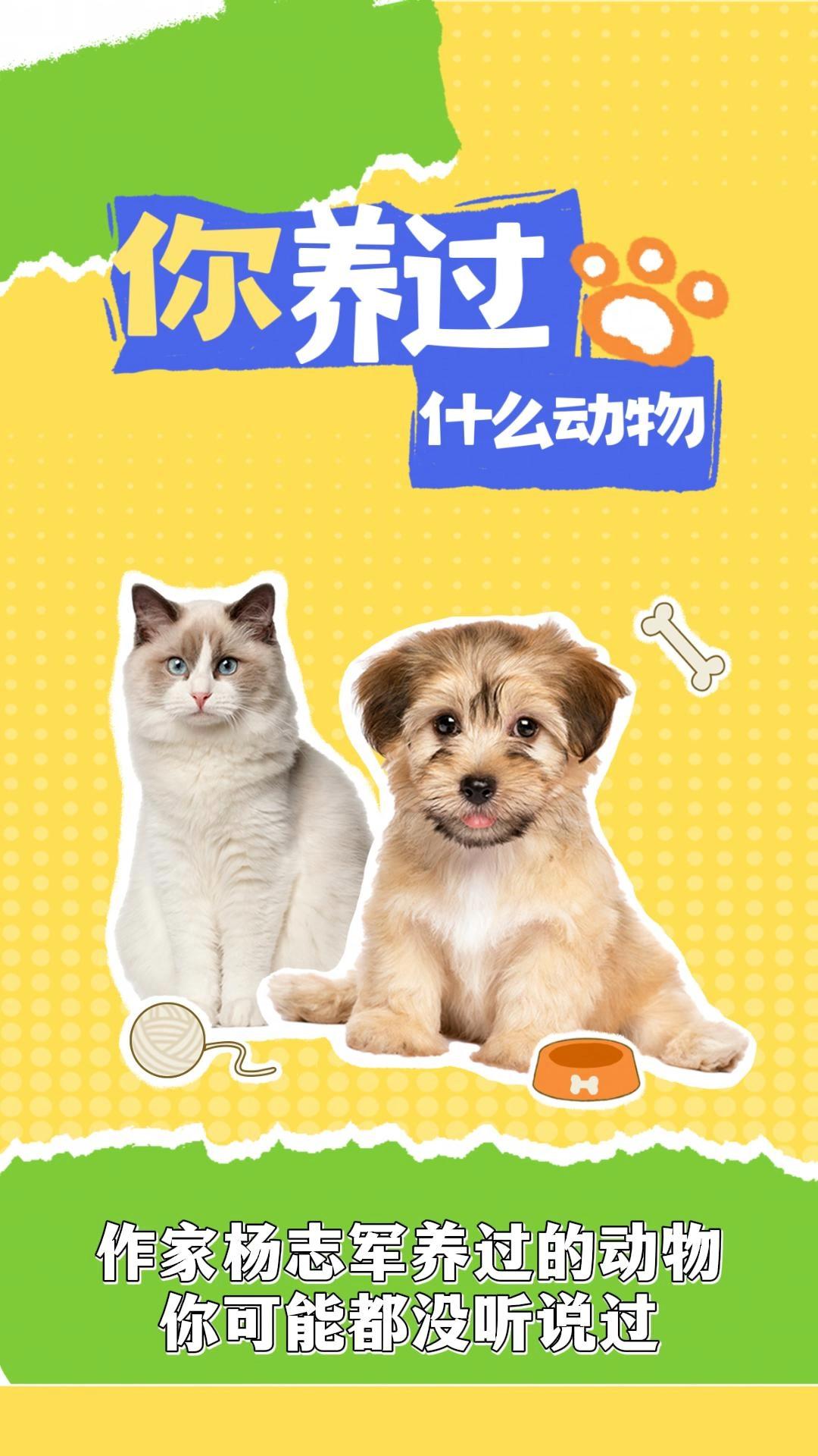 我的艺术清单 |作家杨志军养过的动物你可能都没听说过！