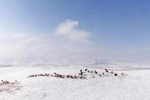 风雪金银滩——60多年前，为221基地建设，6700余名牧民走上搬迁路
