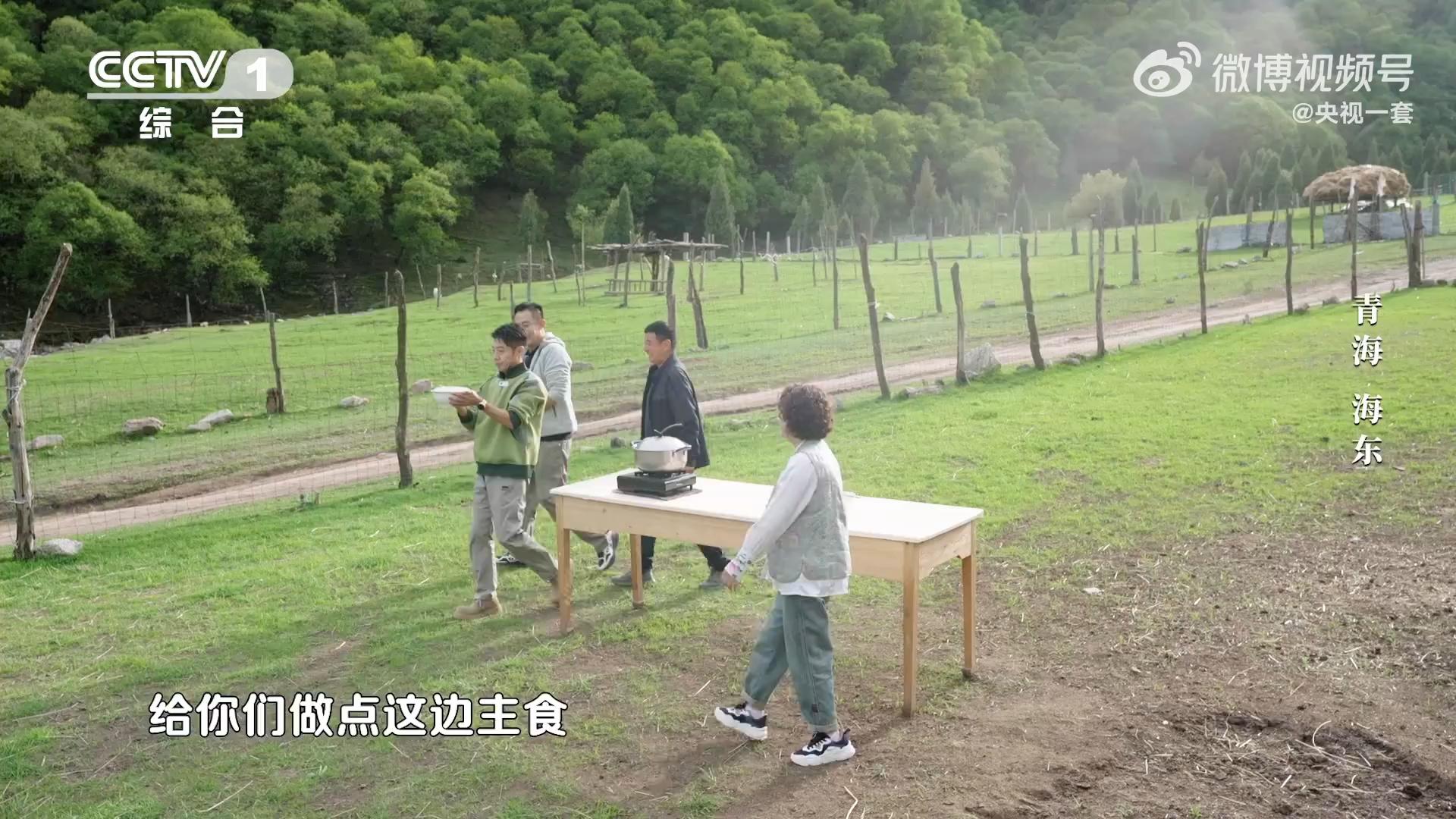 【草也会咬人】青海山上长着咬人的草