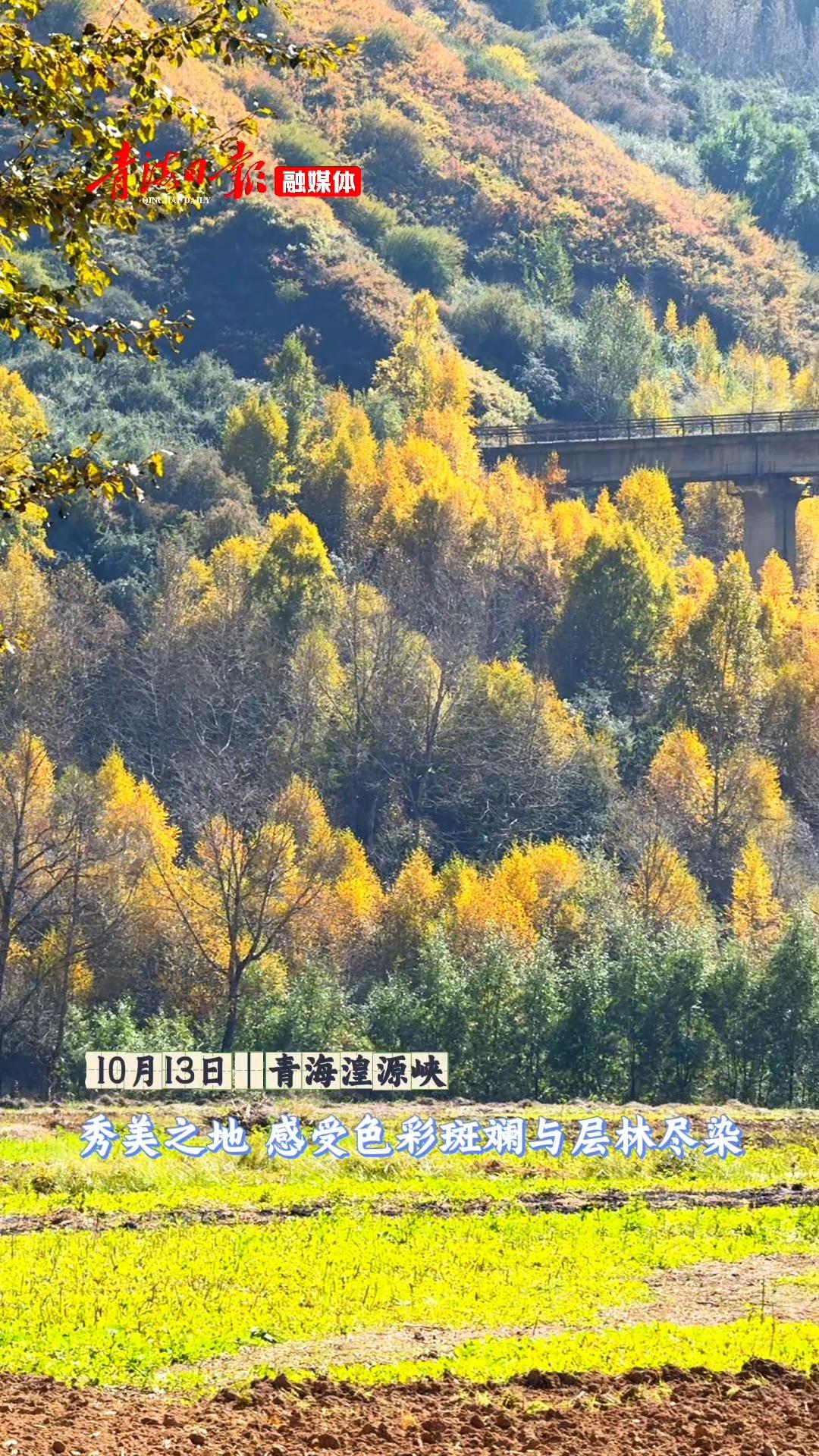 湟源峡：秀美之地 感受色彩斑斓与层林尽染