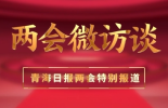 【两会微访谈】省人大代表王胜江：民企抓优势 带富众乡亲