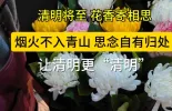 【网络中国节·清明】清明将至 鲜花寄相思