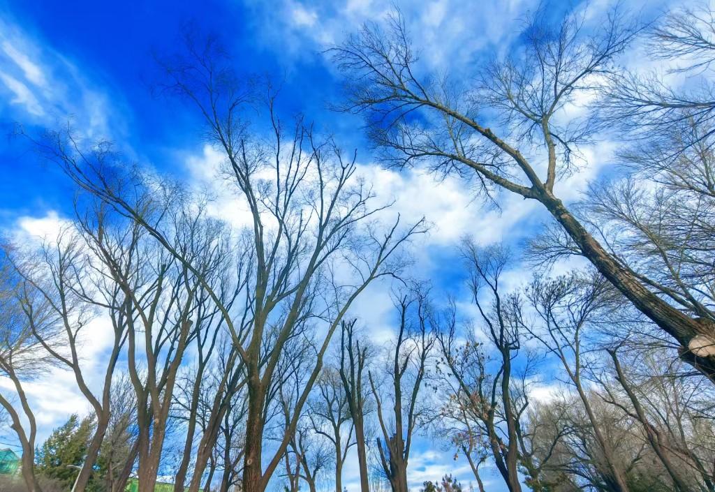 【网络中国节·清明】声声慢｜节气里的春天——清明