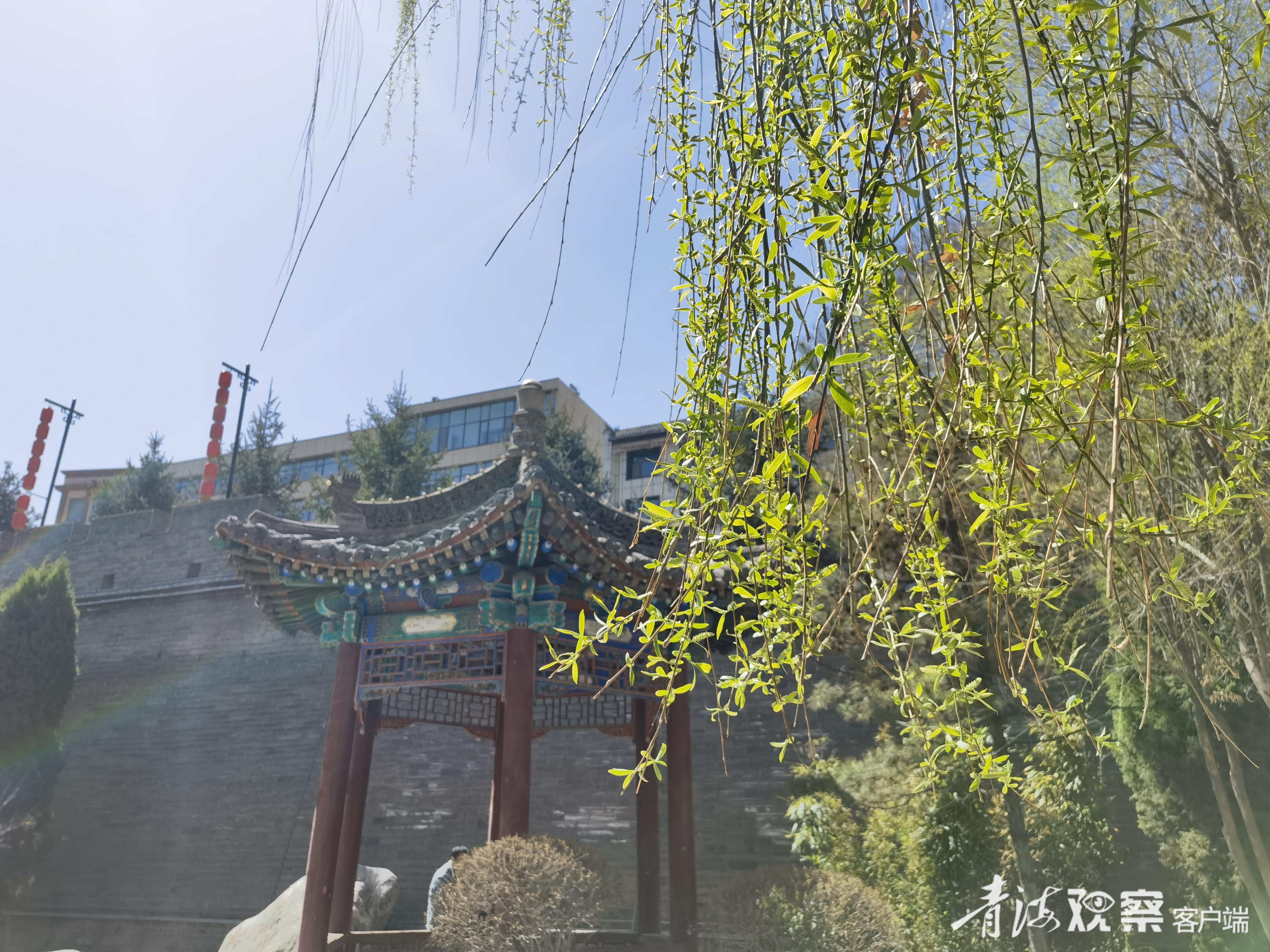 诗人角｜春的消息