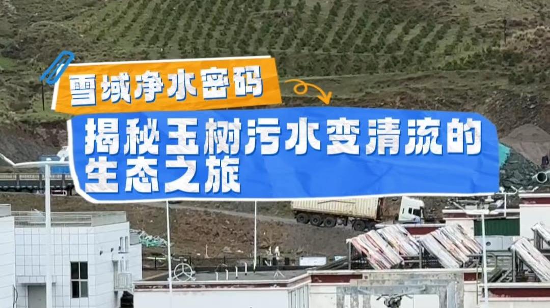 雪域净水密码：揭秘玉树污水变清流的生态之旅