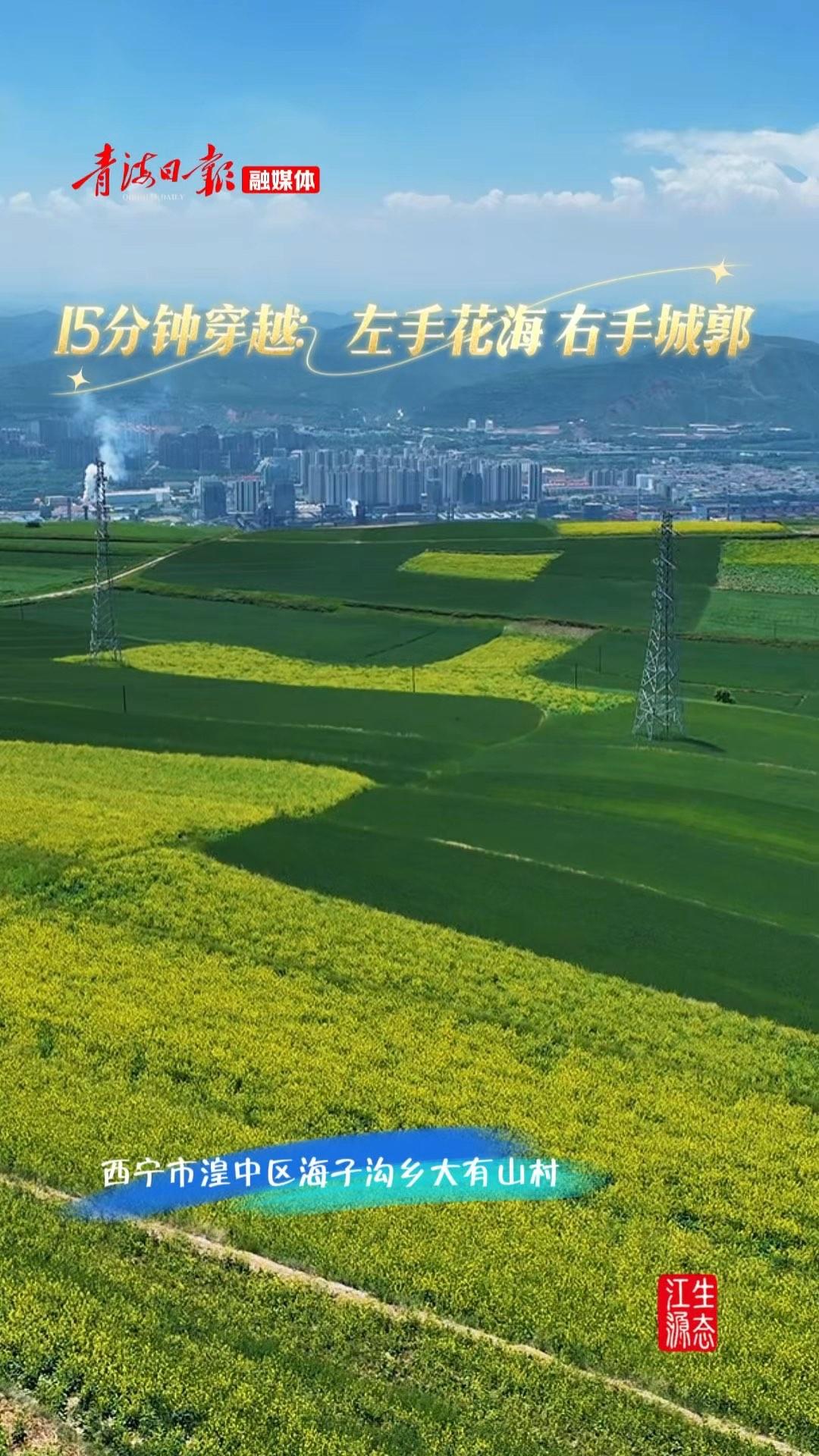 15分钟穿越：左手花海 右手城郭 ＃西宁夏日好去处#青海#最美风景推荐官#自驾游打卡地