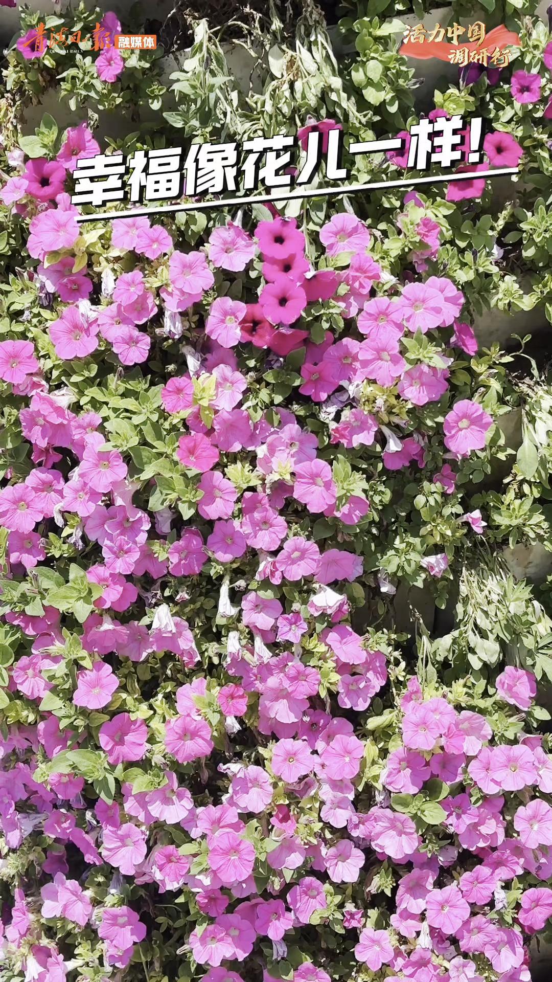 活力中国调研行｜幸福像花儿一样！
