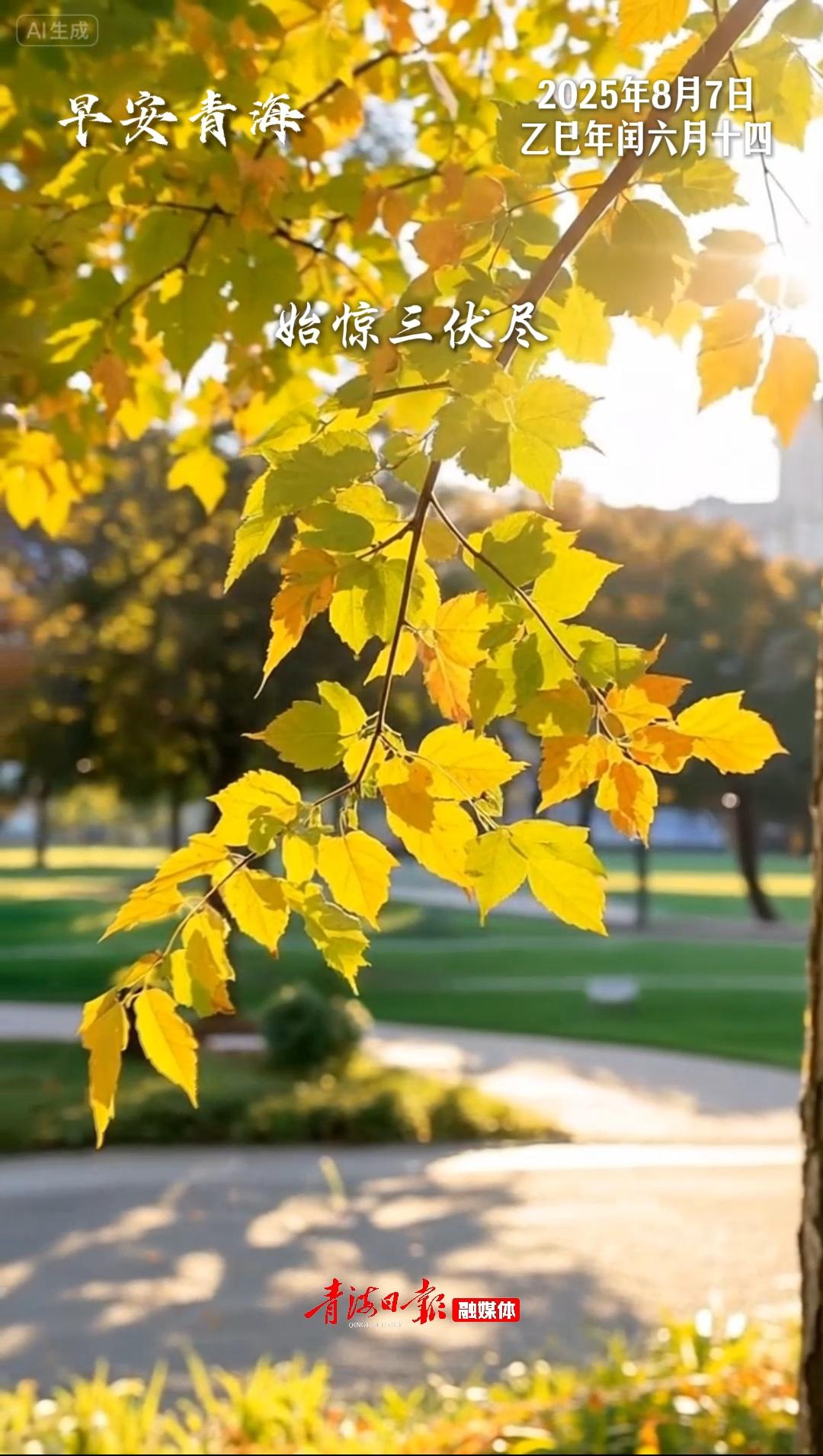 #早安青海 | 8月7日，星期四。早安，始惊三伏尽，又遇立秋时，秋天的第一个节气，愿此刻成为你幸运的起点，夏日的遗憾能在秋风中温柔地化解。