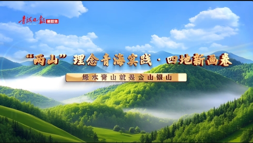 “两山”理念青海实践｜【四地新画卷】从荒漠变绿洲  青海治沙人的六十载绿色接力