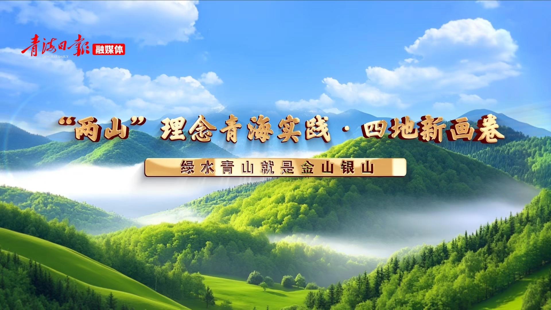 “两山”理念青海实践｜【四地新画卷】生命守护站里的绿色课堂
