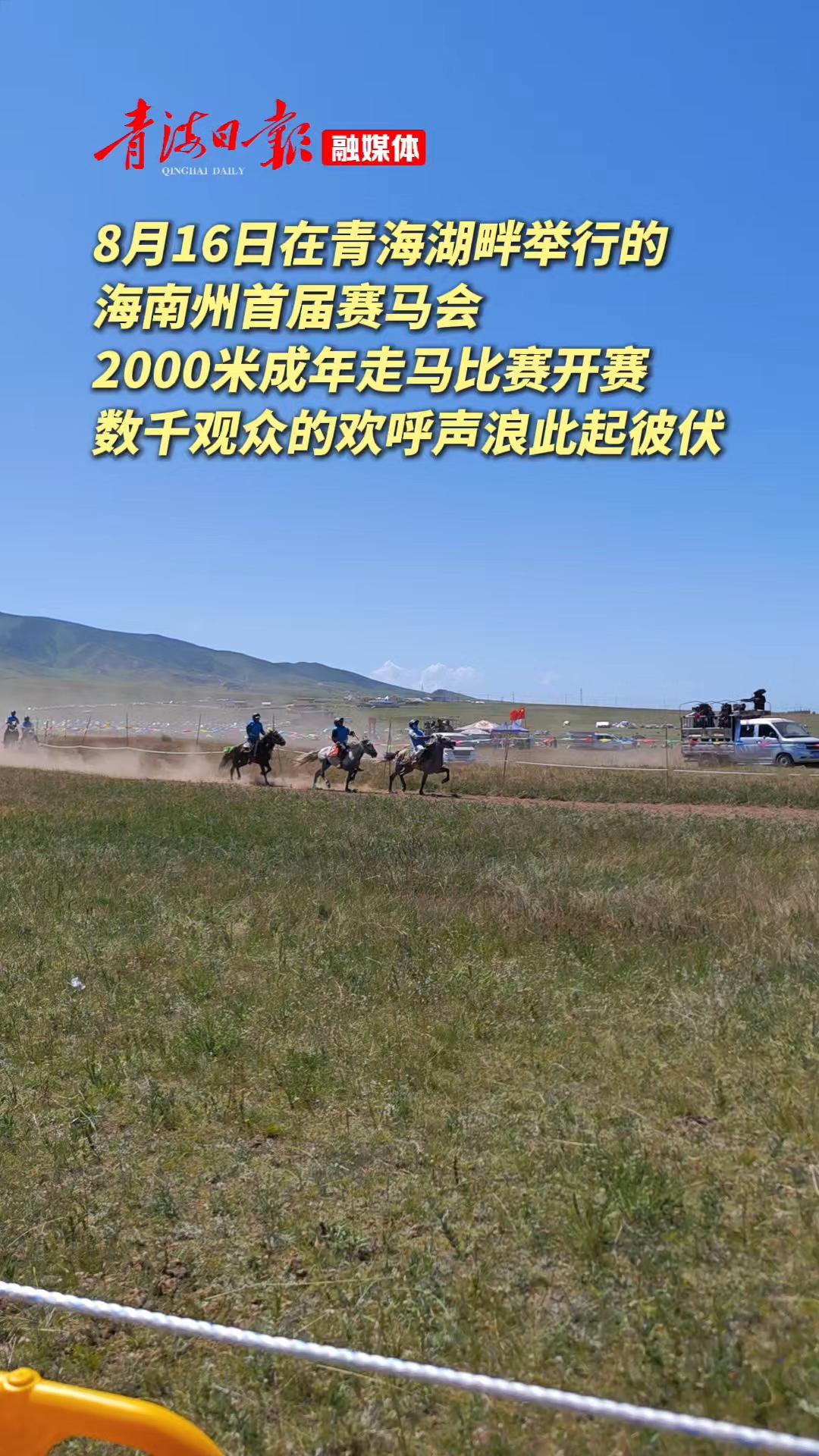 青海湖畔马蹄疾！海南州首届赛马会燃爆草原