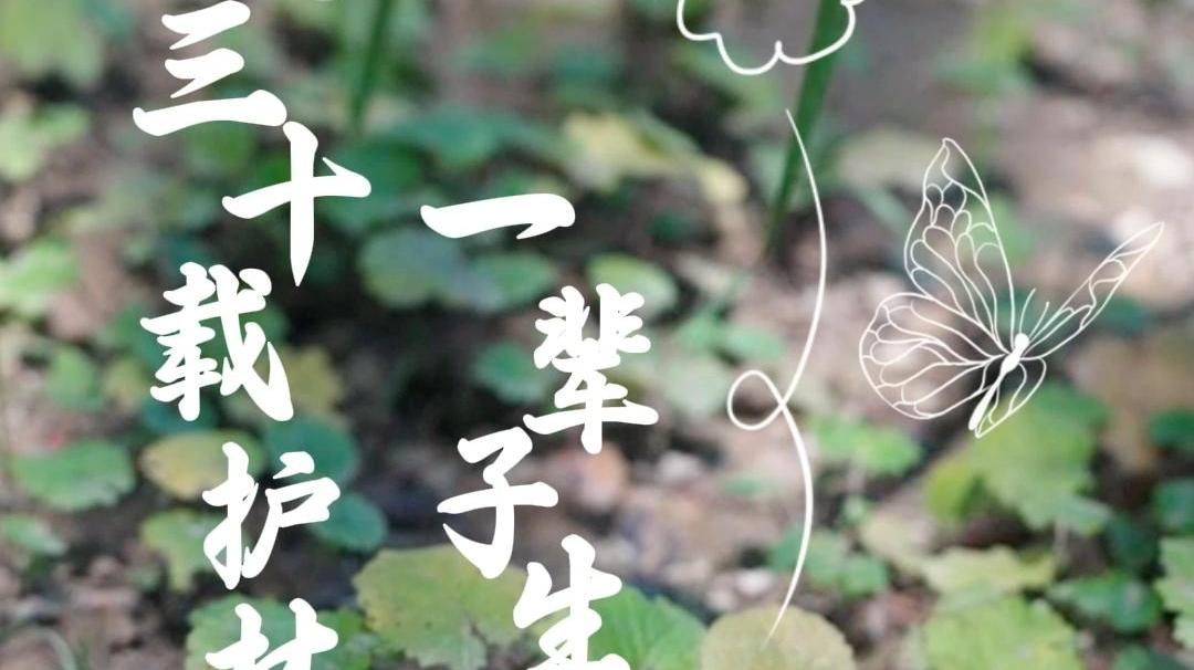 三十载护林路，一辈子生态情