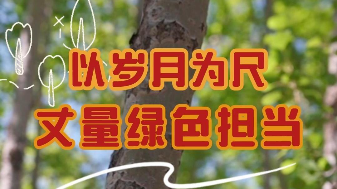 以岁月为尺，丈量绿色担当