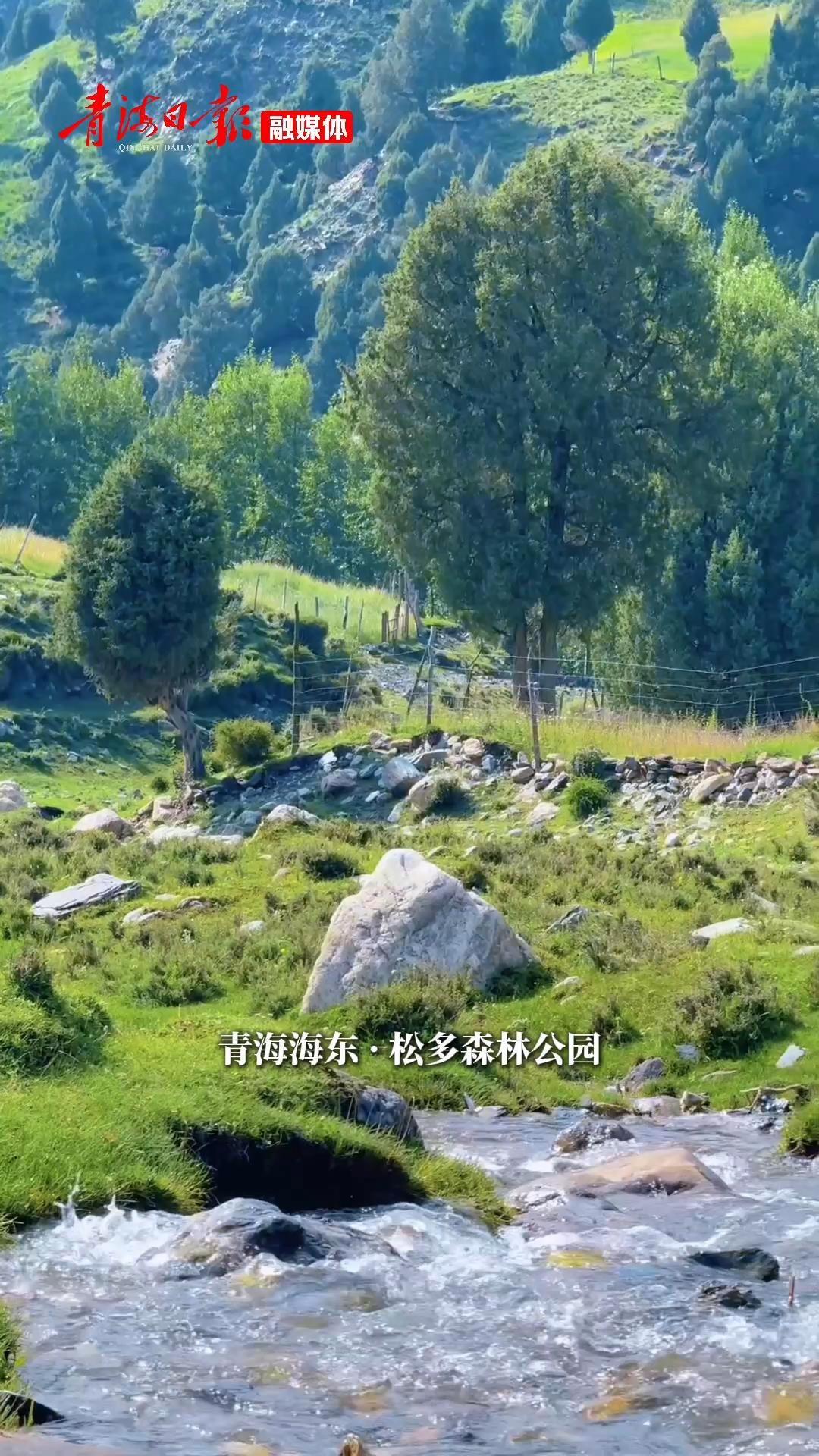 藏在青海的“绿野仙踪”！在这里，找到久违的松弛感