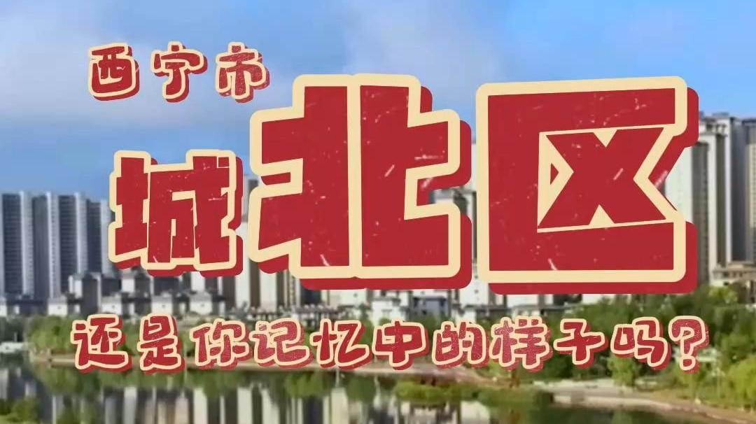 青海县域经济发展观察城北篇｜无中生有 · 城北破局