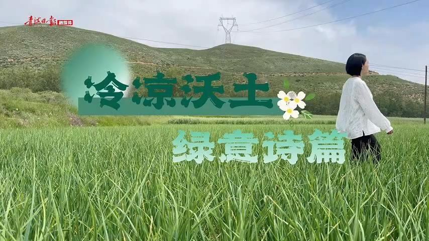 青海县域经济发展观察湟源篇｜冷凉沃土上的绿意诗篇