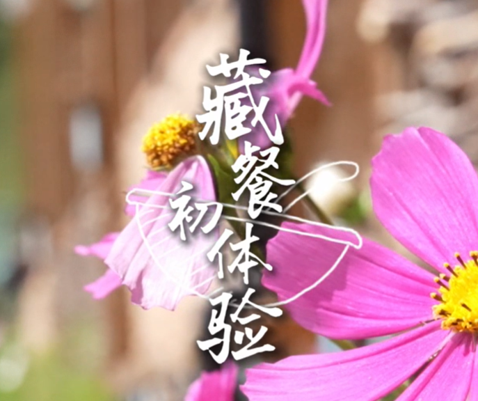 走基层 看发展丨藏餐初体验