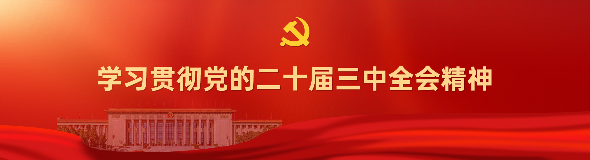 学习贯彻党的二十届三中全会精神