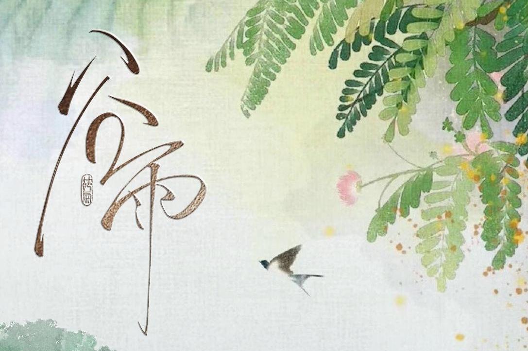 节令之美｜谷雨辞春，万绿迎夏