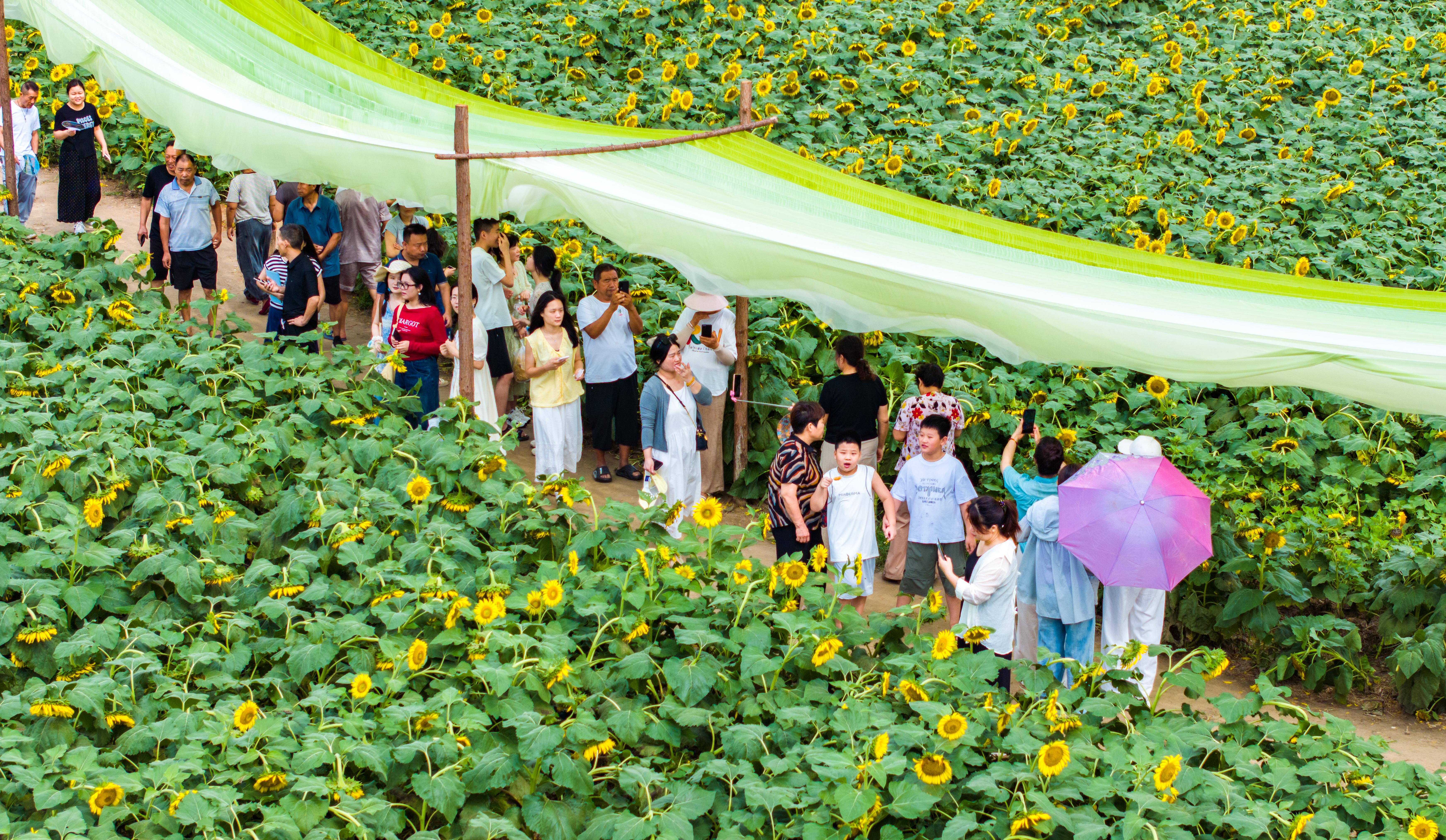 各项政策持续发力 以“真金白银”激发消费活力