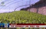 【新春走基层】大通:抓好蔬菜生产 保障“菜篮子”供应
