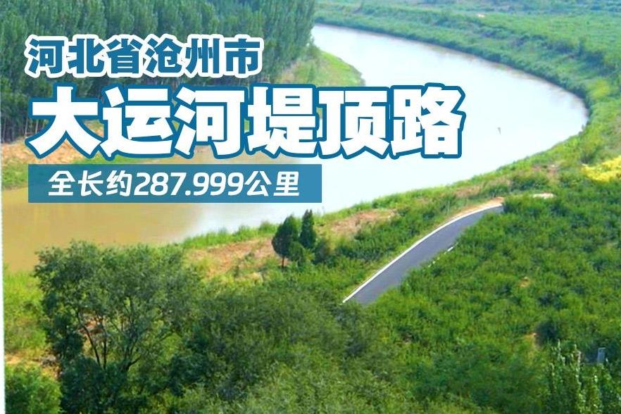 2024年“十大最美农村路”公布，一起去看“诗和远方”吧