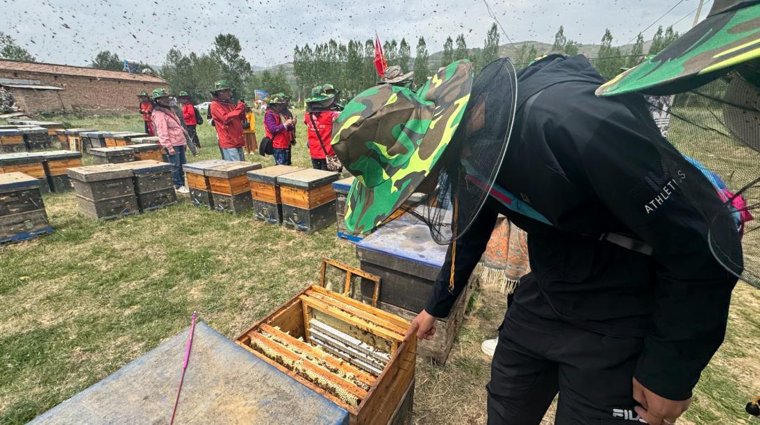 广东游客在互助体验“头采”乐趣