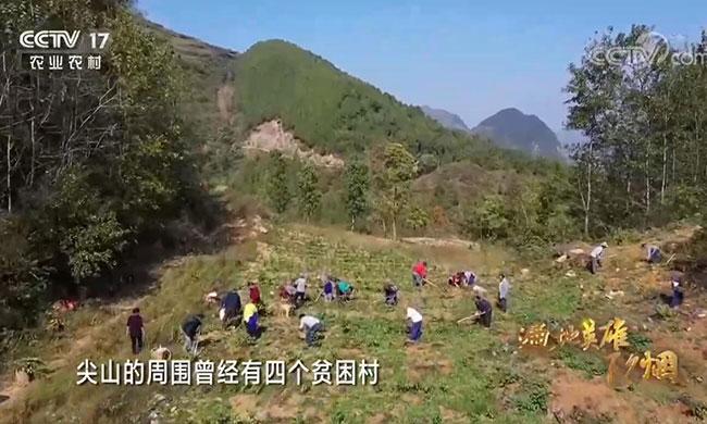 《遍地英雄下夕烟——致敬脱贫攻坚的人们》 第四集 对望青山