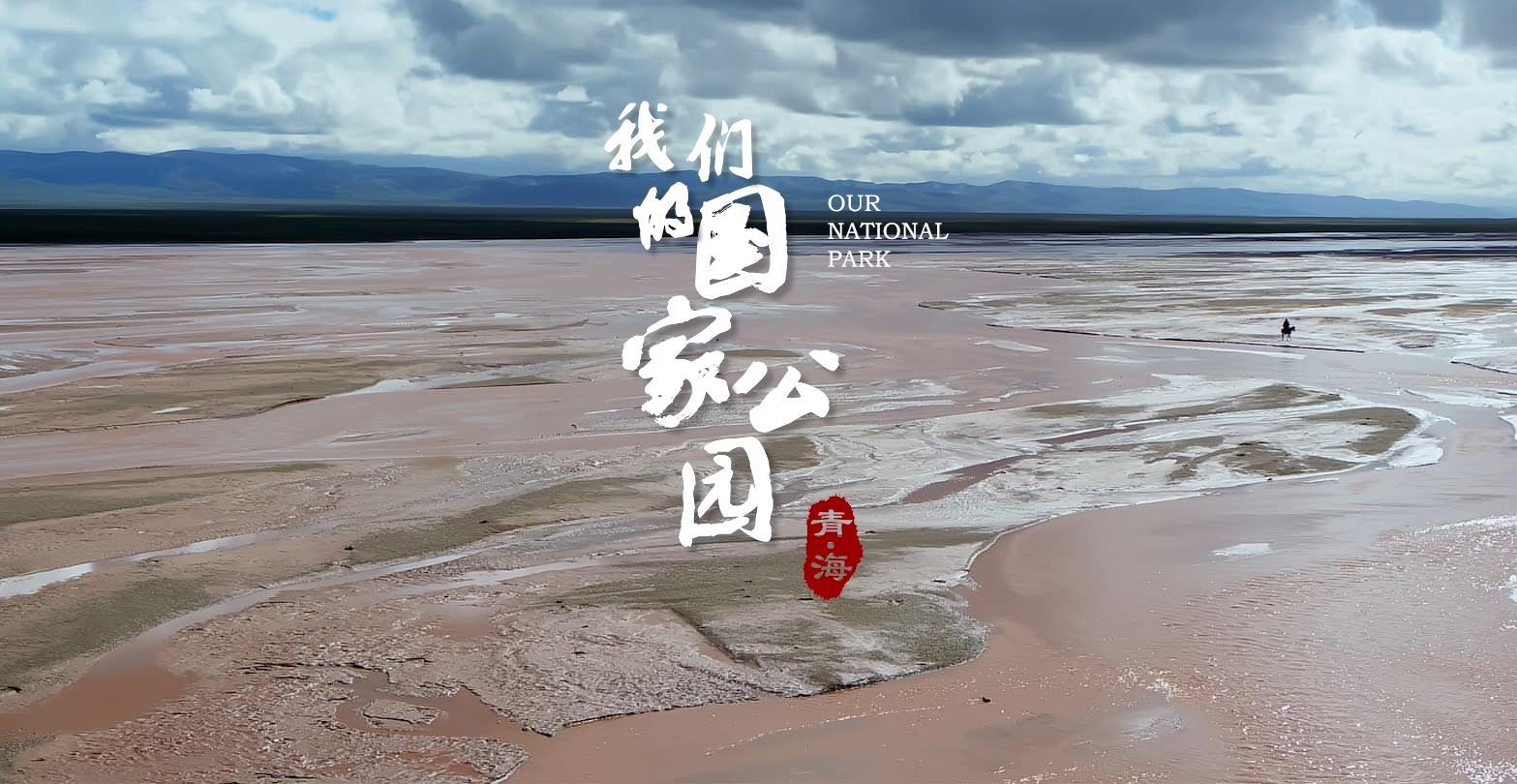 《青海·我们的国家公园》第二集 冰河 宣传片