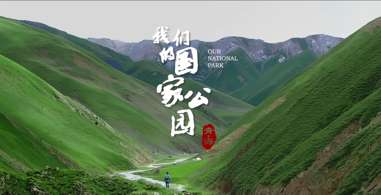  《青海·我们的国家公园》第三集  峡谷 宣传片