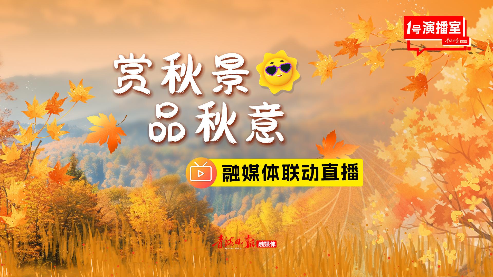 直播 | 赏秋景 品秋意