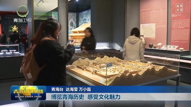 【我们的节日·五一】博览青海历史 感受文化魅力