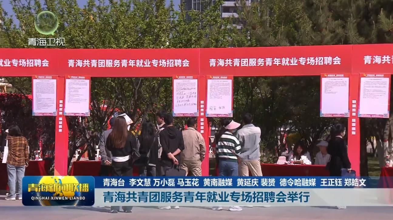 青海共青团服务青年就业专场招聘会举行