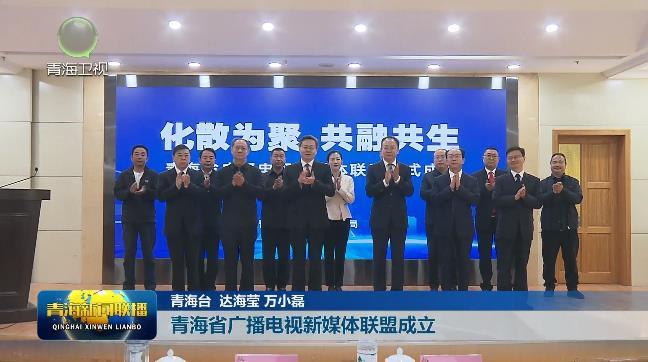 青海省广播电视新媒体联盟成立