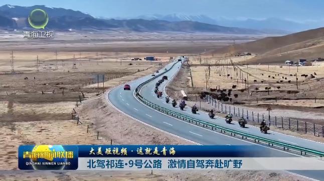 【大美短视频·这就是青海】北驾祁连·9号公路 激情自驾奔赴旷野
