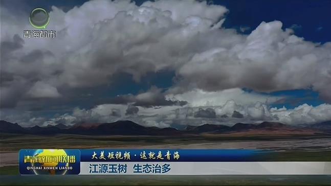 【大美短视频·这就是青海】江源玉树 生态治多