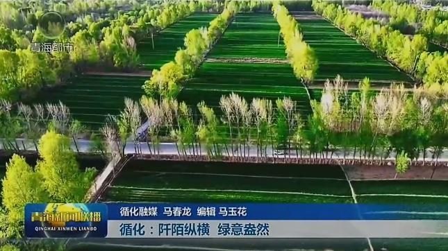 【大美短视频·这就是青海】循化：阡陌纵横 绿意盎然