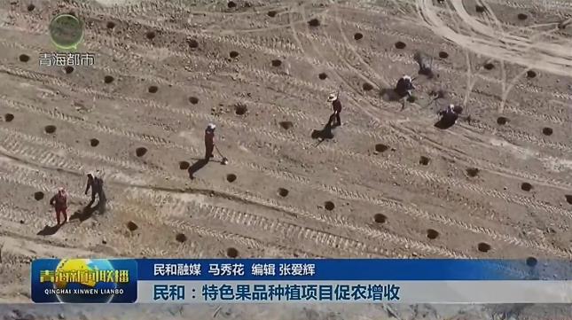 【市州县传真】民和：特色果品种植项目促农增收