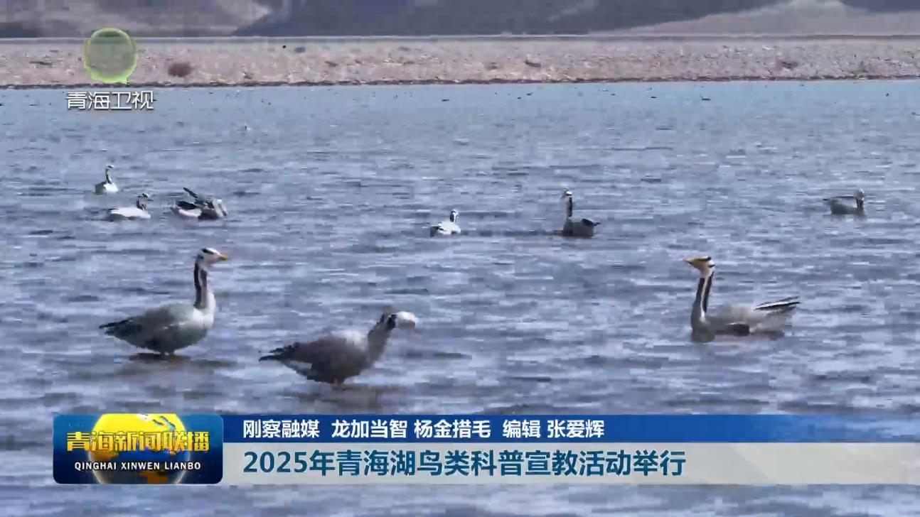 2025年青海湖鸟类科普宣教活动举行