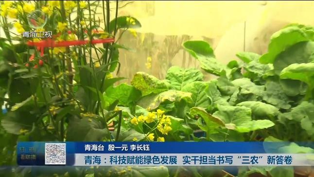【牢记嘱托 奋发有为·实干】青海：科技赋能绿色发展 实干担当书写“三农”新答卷
