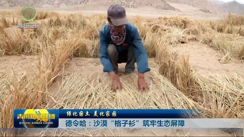 【绿化国土 美化家园】德令哈：沙漠“格子衫”筑牢生态屏障