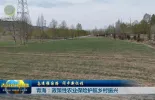 【奋进强国路 阔步新征程】青海：政策性农业保险护航乡村振兴