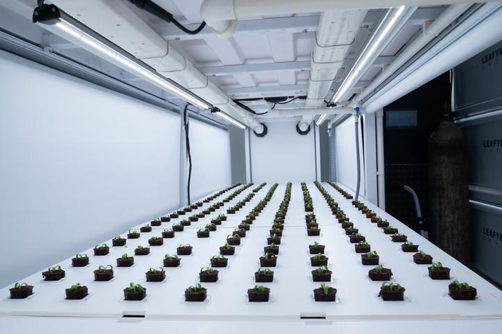 植物工厂大赛：求解农业不再“看天吃饭”