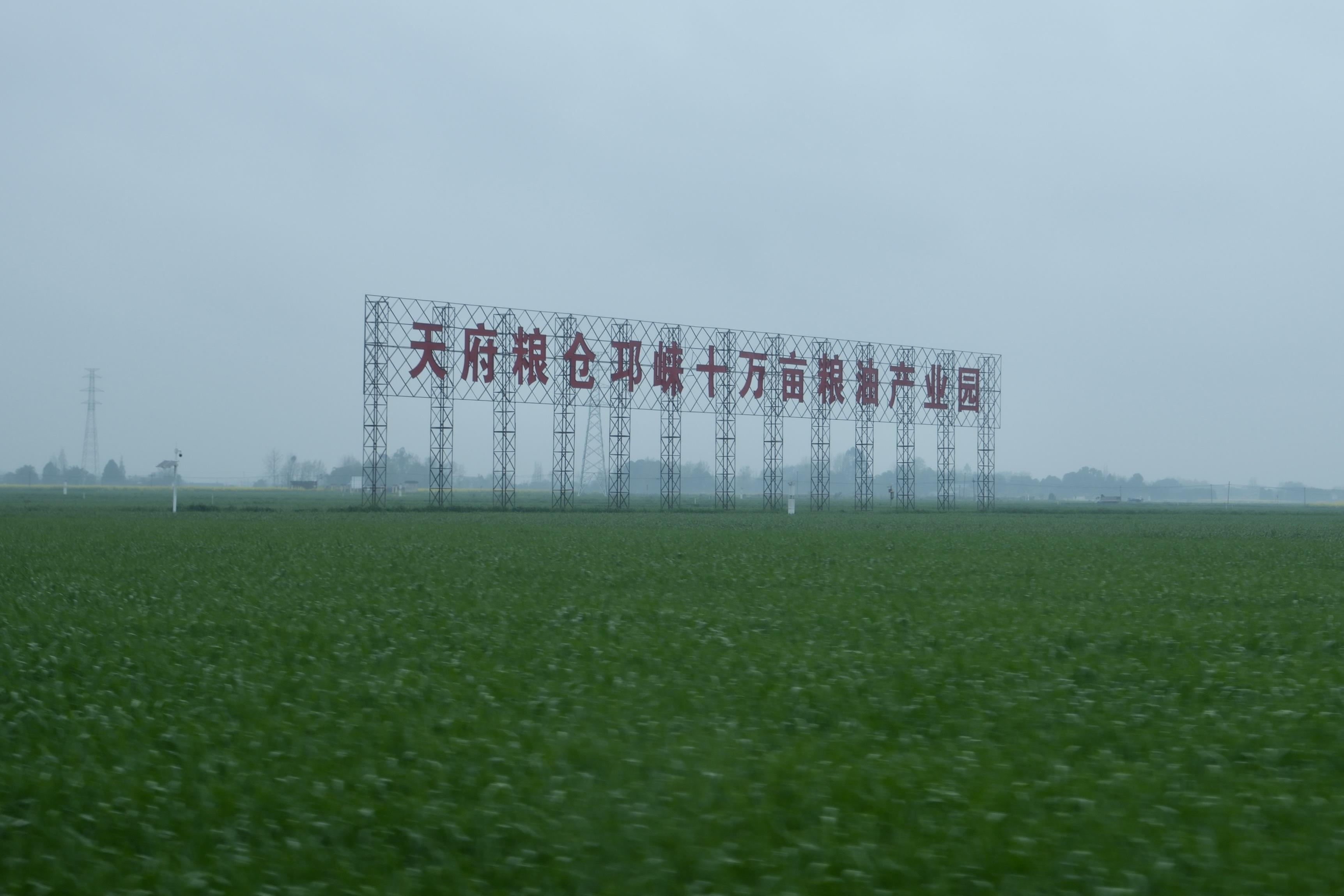 成都：科技助力春耕备耕 “95后”新农人玩出“新花样”